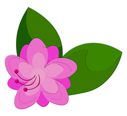 Image showing Clipart of an azalea flower that looks adorable vector or color 