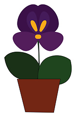 Image showing A pot of pansy plant vector or color illustration