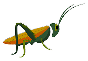 Image showing A grasshopper vector or color illustration