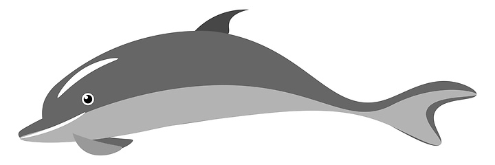 Image showing Dolphin vector or color illustration