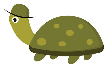 Image showing Tortoise with cap vector or color illustration