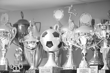 Image showing Trophy