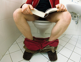 Image showing Reading in the loo