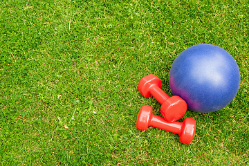 Image showing Red ladies dumbbells and blue ball on the green grass background