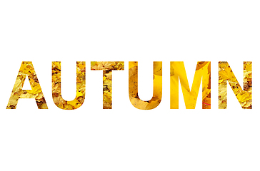 Image showing Word AUTUMN with a bright leaves of maple tree pattern