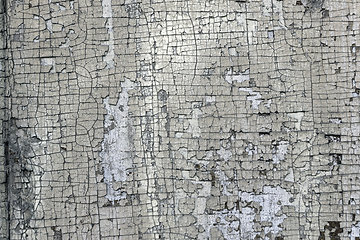 Image showing cracked paint layer on wood