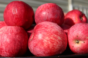 Image showing harvest of tasty and ripe red apples