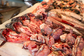 Image showing Uncooked fish and chinese edible frog in wet market 