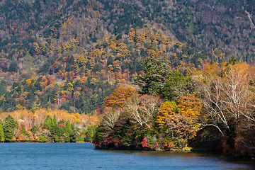 Image showing Autumn nature in yuno lake