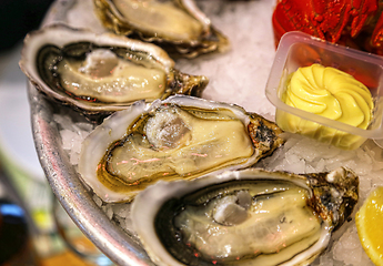 Image showing Close-up of oysters with sauce on ice in a restaurant