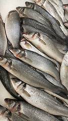 Image showing Fresh sibas fish on ice for sale in market