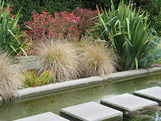 Image showing garden and fountain in a park