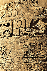 Image showing Ancient egyptian hieroglyphs in the Karnak Temple