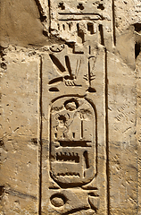 Image showing Ancient egyptian hieroglyphs in the Karnak Temple