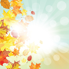 Image showing Autumn  Frame