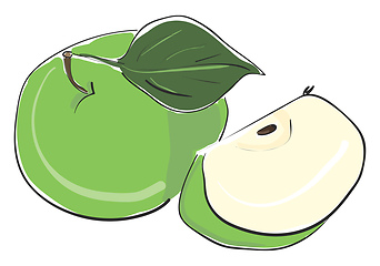 Image showing Sliced green apple vector or color illustration