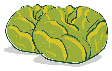 Image showing Couple of cabbages 