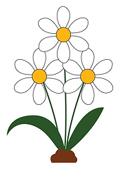 Image showing Beautiful daisies vector or color illustration