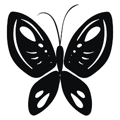 Image showing Sketch of a black butterfly White background 