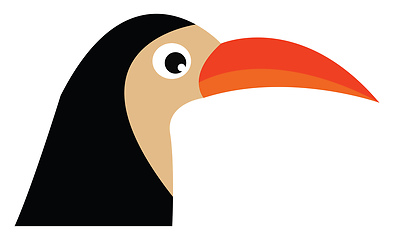 Image showing Bird with orange beak vector or color illustration