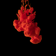 Image showing Explosion of colored, fluid and neoned liquids on black studio background with copyspace