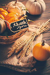 Image showing Thanksgiving - still life with pumpkins, ears and autumn leaves on wooden background