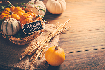 Image showing Thanksgiving - still life with pumpkins, ears and autumn leaves 