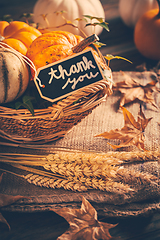 Image showing Thanksgiving - still life with pumpkins, ears and autumn leaves on wooden background