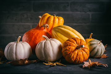 Image showing Pumpkins for Thanksgiving on black background