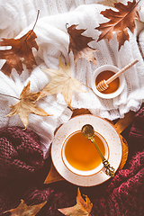 Image showing Hot tea with honey,  warm sweaters and autumn leaves