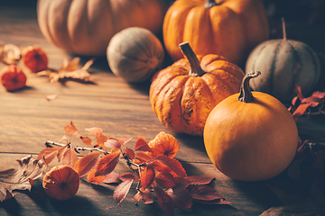 Image showing Pumpkins for Thanksgiving on wooden background 