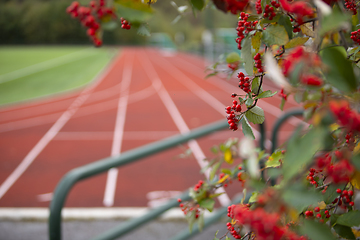 Image showing Running Track