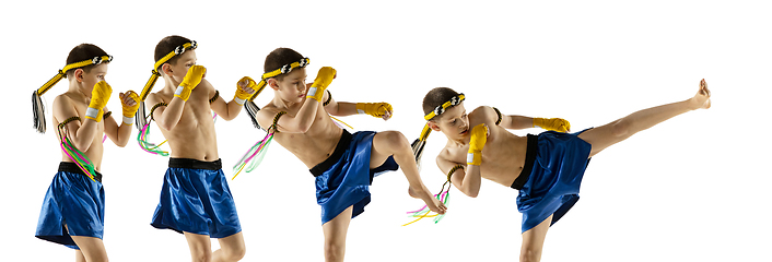 Image showing Little boy exercising thai boxing on white background. Fighter practicing, training in martial arts in action, motion. Evolution of movement, catching moment.