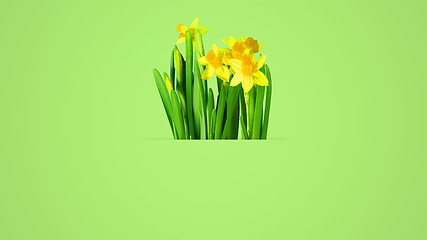 Image showing Bright spring, summer illustration in beautiful colors, modern design