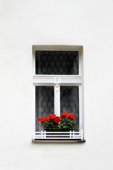 Image showing Window with bright red geranium flowers