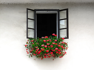 Image showing Open window decorated with beautiful bright geranium flowers 