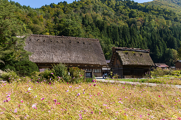 Image showing House in historic village Shirakawa-go