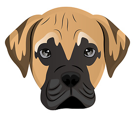 Image showing Mastiff illustration vector on white background