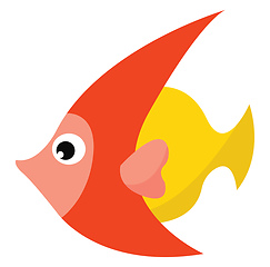 Image showing Orange and yellow fish vector or color illustration