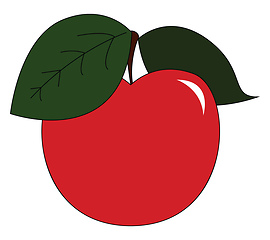 Image showing A Fresh Red apple vector or color illustration