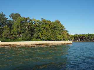 Image showing Giardini in Venice