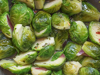 Image showing Brussels sprout cabbage vegetables