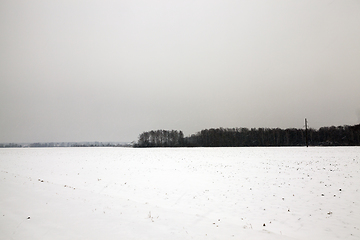 Image showing Winter landscape, snowfall