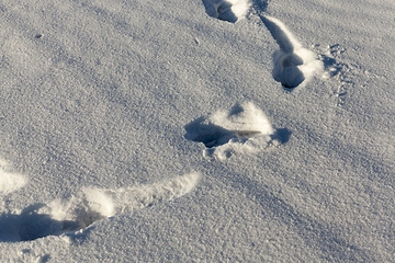 Image showing Footprints of a man