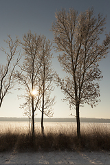 Image showing Winter time, close-up