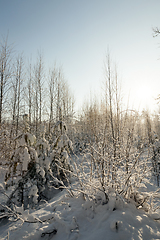 Image showing Snow drifts in winter