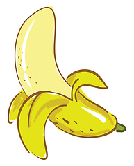 Image showing A healthy pealed open yellow banana vector or color illustration