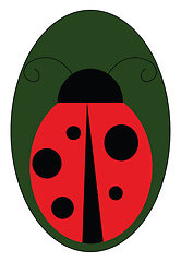 Image showing Ladybug on a leaf vector or color illustration