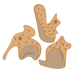 Image showing Cracker cookies vector or color illustration