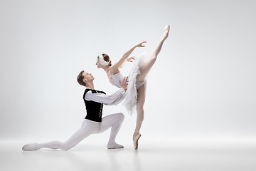 Image showing Young graceful couple of ballet dancers on white studio background